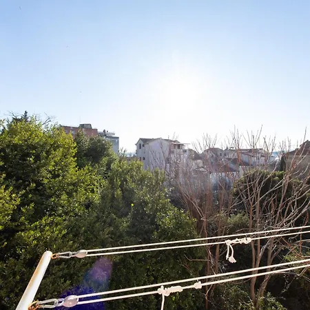 Lazy Day In Apartment