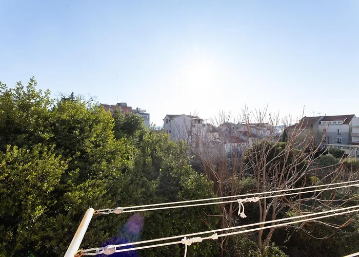 Lazy Day In Apartment